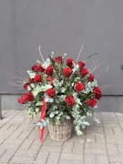 IMG_6180.jpg