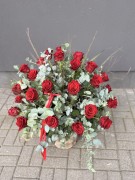 IMG_6182.jpg