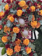 IMG_5895.jpg