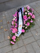 IMG_8699.jpg