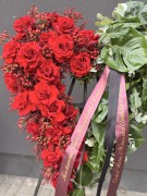 IMG_8098.jpg