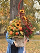 IMG_9093.jpg